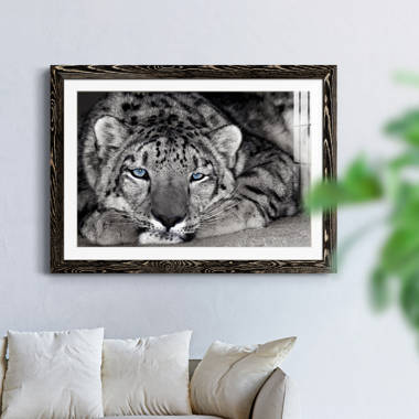 Close Up of Angry Leopard Photo Leopard Pictures Wall Decor Jungle