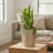 Hexagon Column Planter SM-1745058344