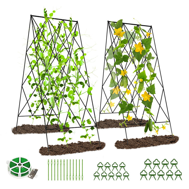 Ensemble de 2 treillis de concombre pliable à structure en A, support de plantes d'extérieur en acier enduit de PVC antirouille pour lits surélevés, haricots, tomates, plantes grimpantes