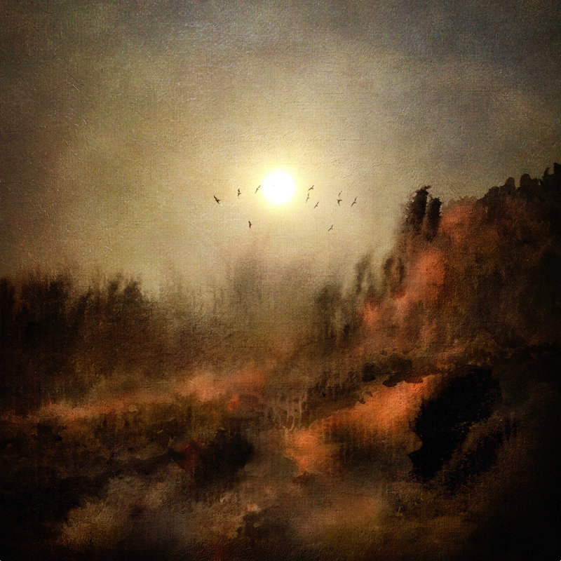 «Whitchurch Viviana Gonzalez Calling The Sun I» par Viviana Gonzalez - reproduction d'art sur toile tendue, H 12 po x l 12 po