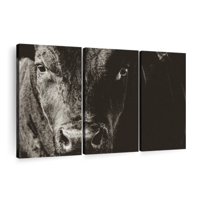 " Black Angus Bull " 3 - Pieces