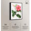 Reproduction d'art sur toile, Mandevilla Bloom-111154996-111155003