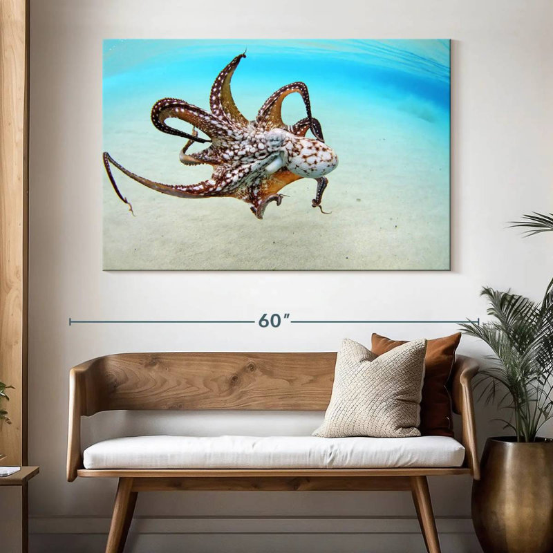 Brampt Wild Ocean Octopus, 34" H x 51" W