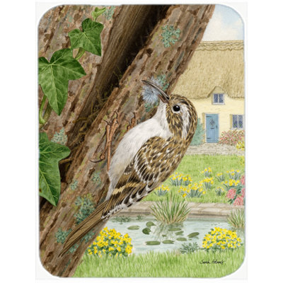 Caroline's Treasures Treecreeper Glass Cutting Board
