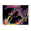 « imaginaire dragon », reproduction d’impression sur toile tendue-31881421