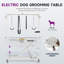 Table de toilettage électrique pour chien 47 po-96412911