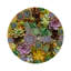 Succulents Evergreen Vegan Leather Round Coasters-197917171