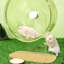Roue d'exercice - 8,5 po