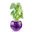 Handmade Pot Planter-52454938