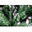 Lighted Artificial Christmas Tree-561814282