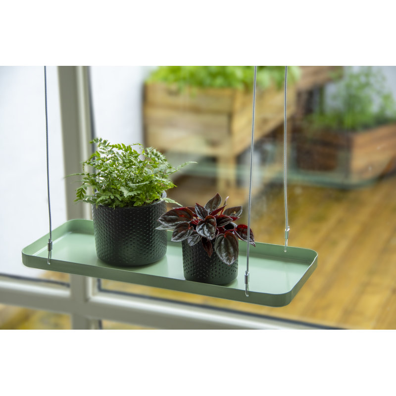 Plant Tray Hanging Rect, 2.1cm H x 38cm W x 15cm D, Green