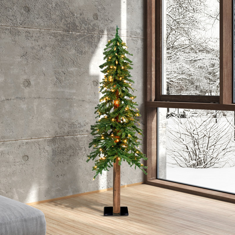 5' H Lighted Artificial Pine Christmas Tree