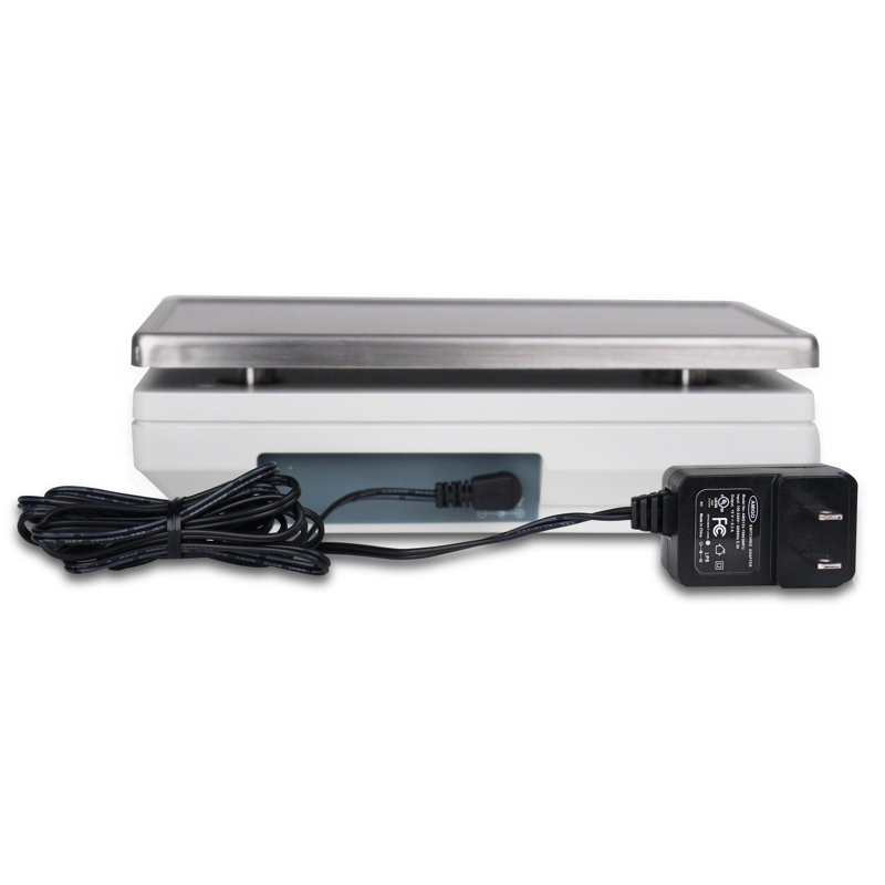 Detecto Digital Scale
