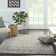 Rosaline Oriental Indoor Rug