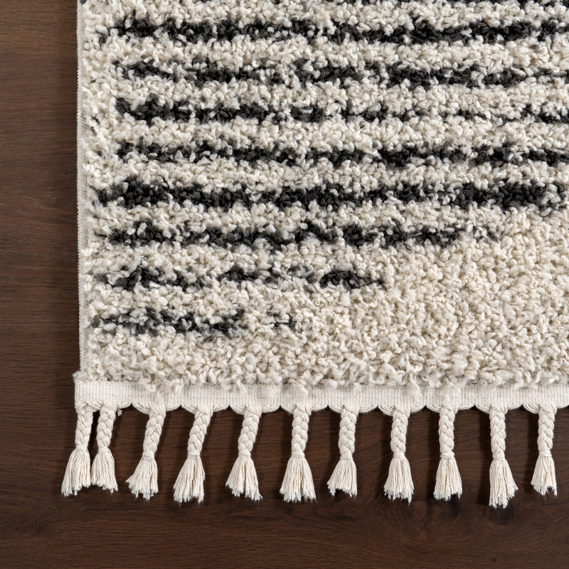 Carnahan Reserve Trellis Shag Area Rug for Living Room Bedroom Dining Room Nursery, Off White/Charcoal, Rectangle 3' x 5'