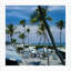 Florida Palms Print by Slim Aarons-1263946811-1263930879