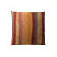Coussin décoratif terre-15824989