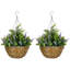 34 cm H Faux Plant