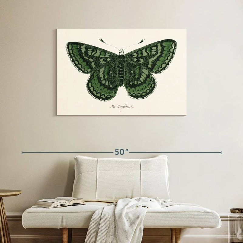 Brampt Antique Butterfly I, 26" H x 39" W