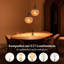  1-Light Bohemian Rattan Pendant
