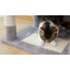Arbre à chat de 72 po pour chat Etha-502498018