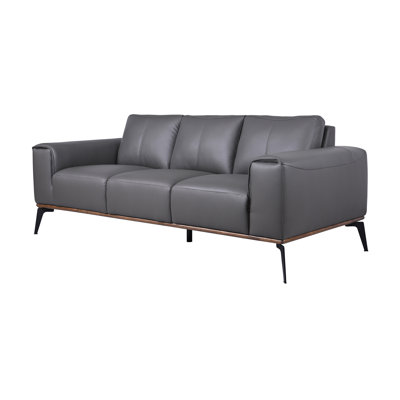 Salpeter Genuine Leather Square Arm Sofa