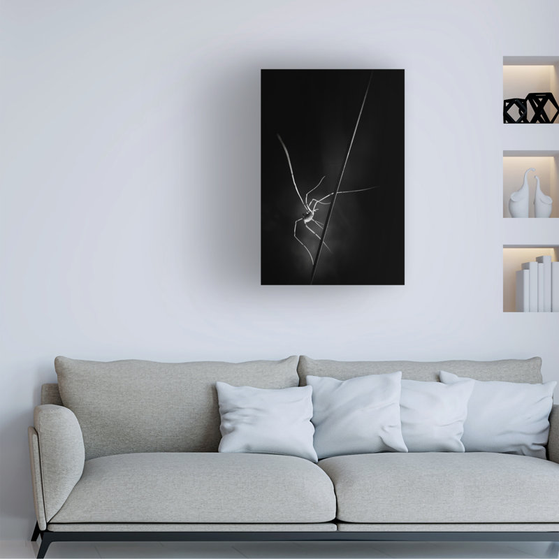 Art sur toile «ologic boli gerec », H 19 po x l 12 po