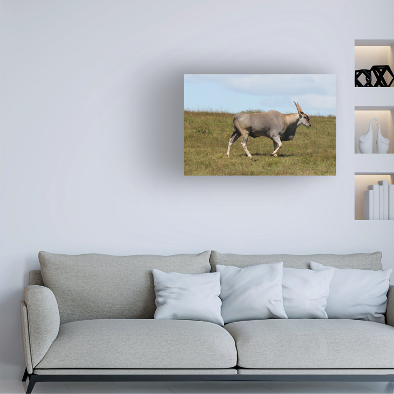 Art sur toile Bob Langrish Eland, H 16 po x l 24 po