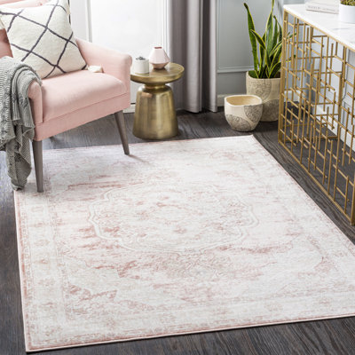 Brick Oriental Indoor Rug