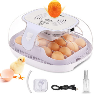42-Egg Incubator Practical Fully Automatic Poultry Incubator with Egg  Candler US in Stock Fast Shipping 