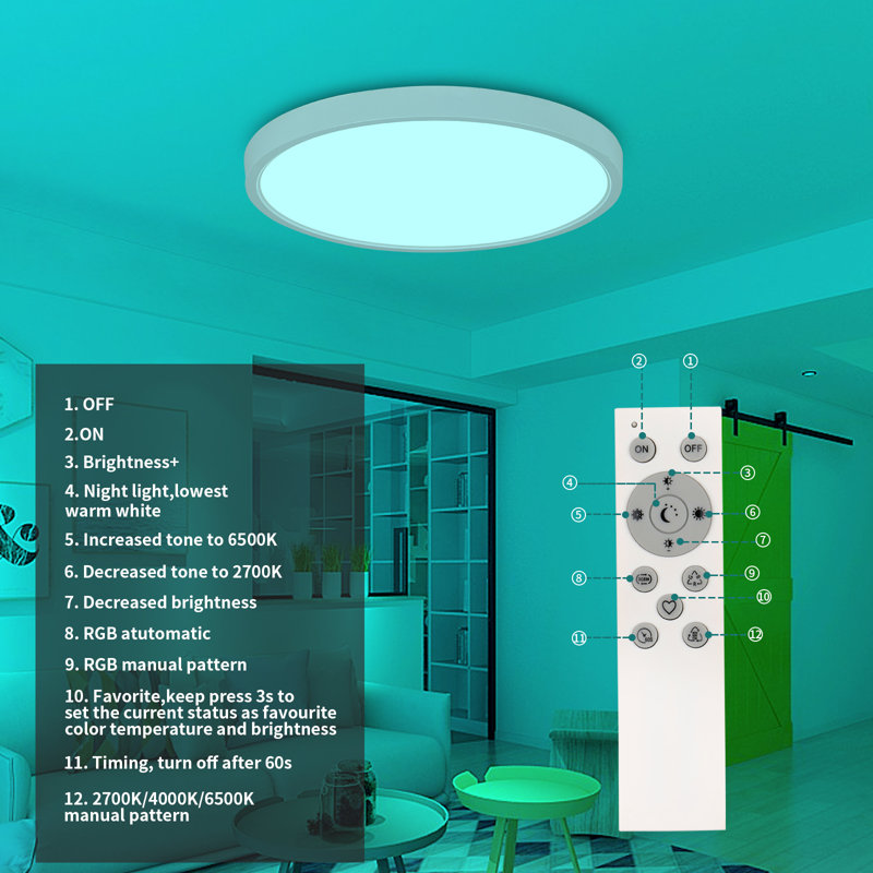 Cherece Acrylic LED Flush Mount