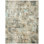 Abstract Area Rug in Beige