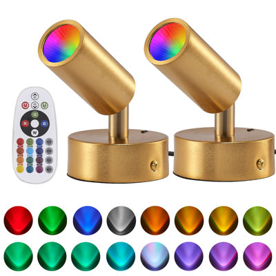 Set of 2 RGBW LED Spotlights Indoor For Plant,Painting, Artwork Black,USB Powered with Remote
