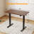 Latitude Adjustable Standing Desk-291692534-291692528