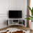 Ibarra Corner TV Stand for TVs up to 55"-2022877396