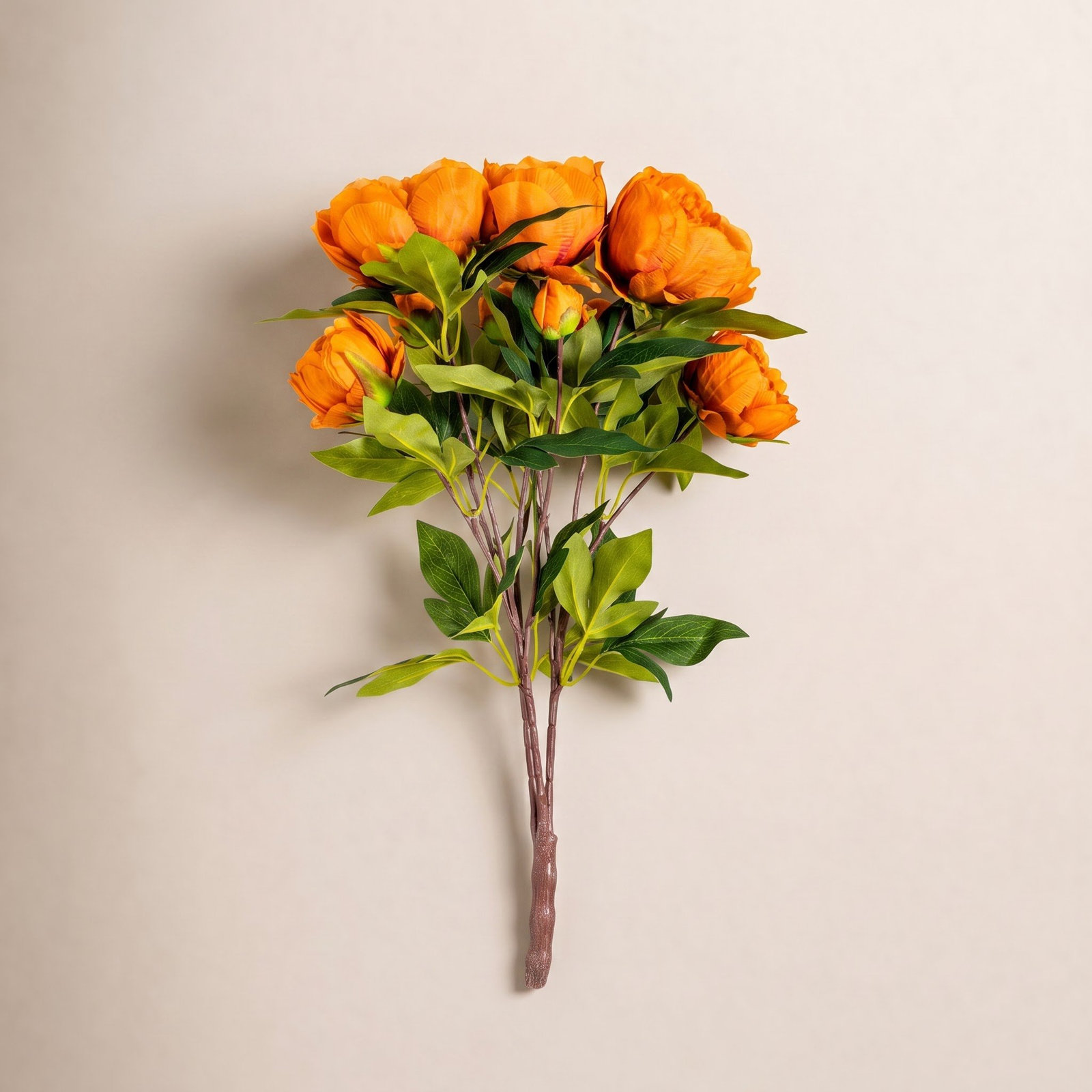 Peony Floral Stems, Coffee