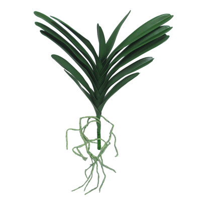 Artificial Tropical Vanda Orchid Leaf Foliage Plant