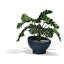 Jardinière Luna-124066398-124066409