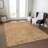  Machine Washable Indoor/Outdoor Chayden ACN1030 Rug-209295190
