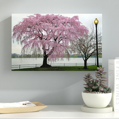 Photograph on Canvas