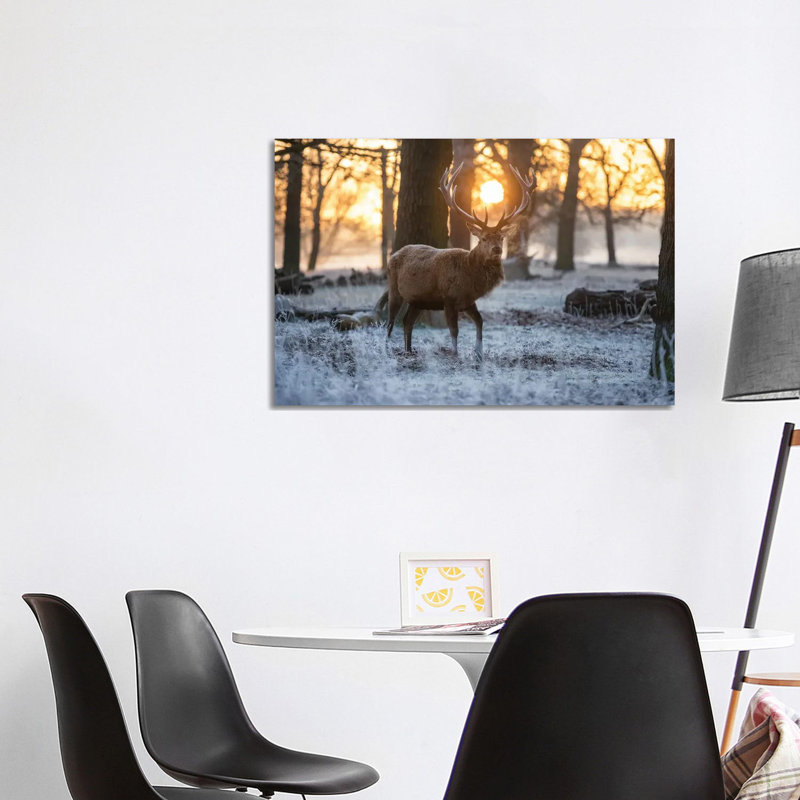 Winterland by Max Ellis - Wrapped Canvas Gallery-Wrapped Canvas Giclée, 101.6 cm H x 66.04 cm W x 1.91 cm D