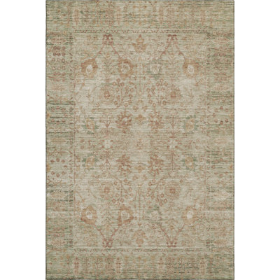 Premium Machine Washable Wayne AMF1106 Global Rug