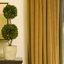 Preserved Boxwood Double Ball Topiary in Pot-465220151