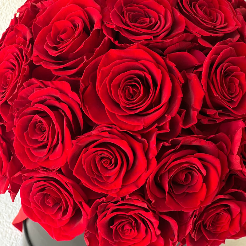 Arrangement de roses préservées