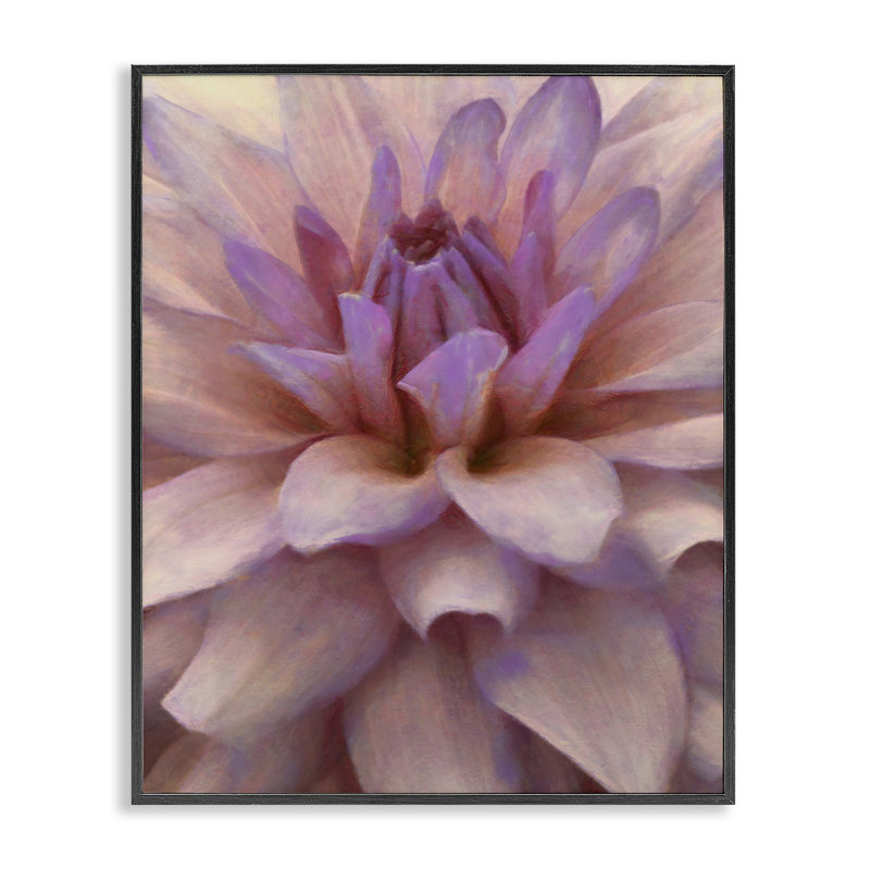 Art de pétales de dahlia mauves par Alonzo Saunders bg-077, Giclée encadrée noir minuit, H 30 po x l 24 po