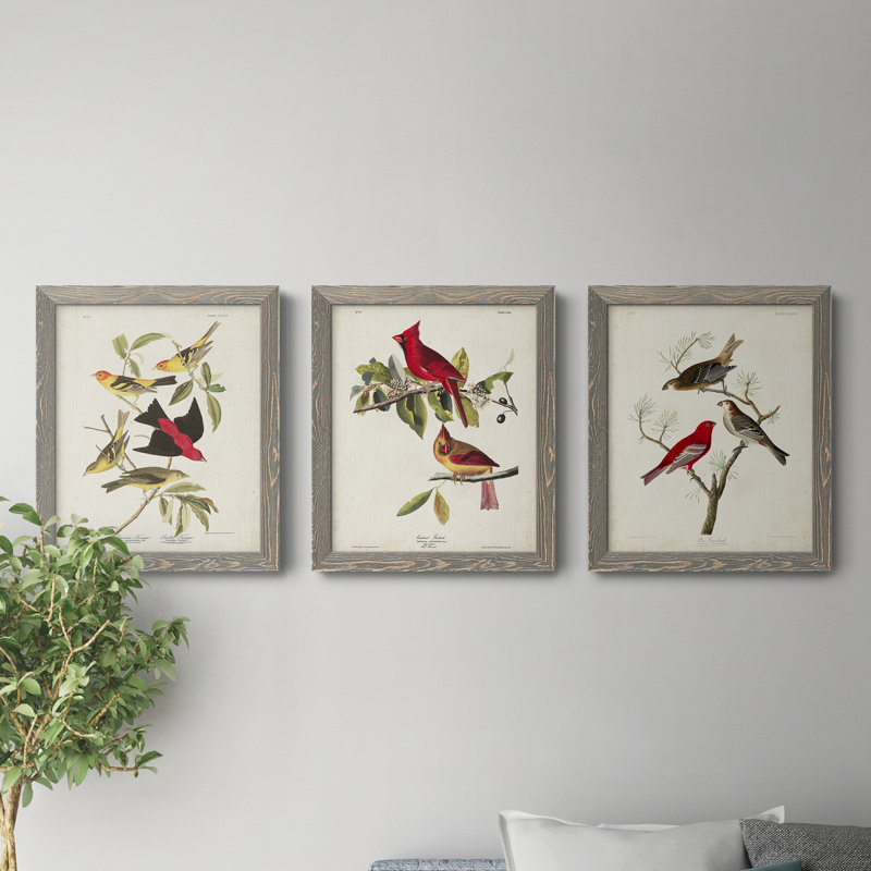 Pl 354 Louisiana Tanager - Ensemble de 3 peintures sur toile encadrées, H 20 po x l 51 po x P 1,5 po, Gris