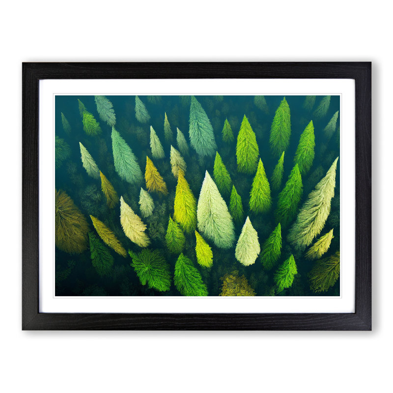 Pine Forest Tree Tops 1 Piece Single Picture Frame Wall Art, 34cm H x 46cm W x 2cm D, Black Framed