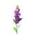 Mauve selected