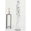Anderw Mannequin