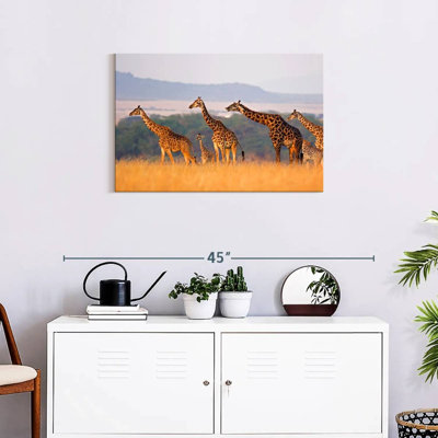 Crowle Giraffe Family Travel